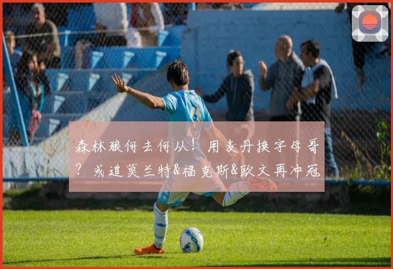 森林狼何去何从！用麦丹换字母哥？或追莫兰特&福克斯&欧文再冲冠