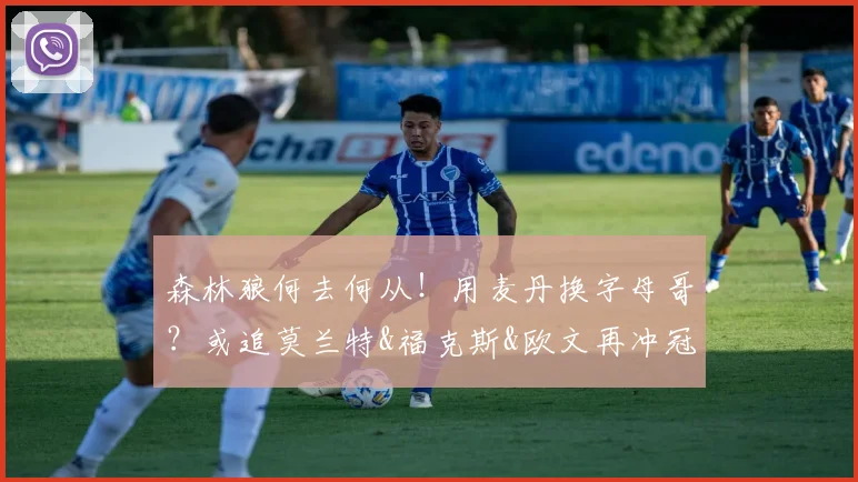 森林狼何去何从！用麦丹换字母哥？或追莫兰特&福克斯&欧文再冲冠
